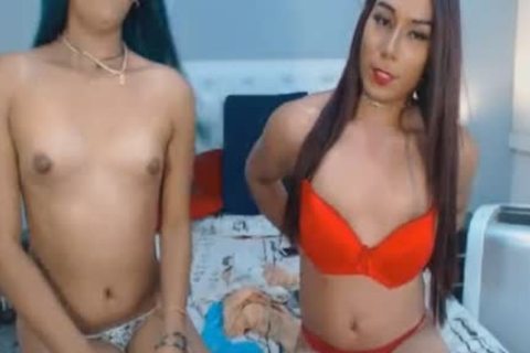 Two outstanding shemale Having A worthy Show