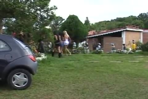 shelady harlots Scene 1