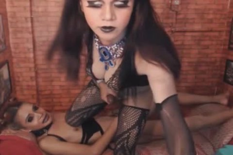 Two Exotic Shermale pounding Hard Each Other