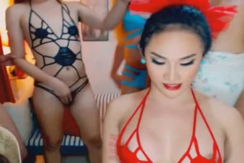 wild fine ladyboys acquires delicious On cam