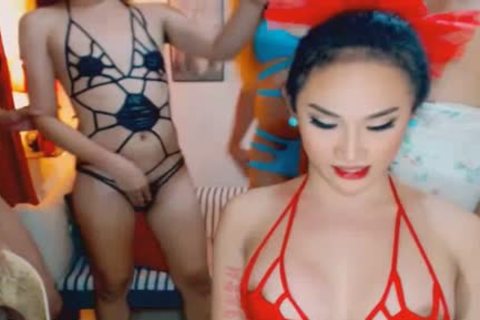 wicked nice-looking shemales acquires sleazy On web camera
