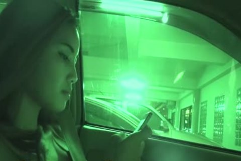 kinky Thai ladyboy
