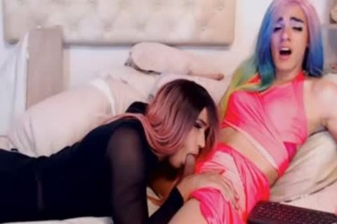 dilettante sheboy couple blow job-job