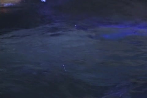 JIll Kelly gets butthole slammed By A tgirl