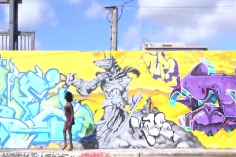 black shemale RIDING dick