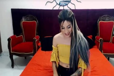 shemale cutie With Tattoo Masturbate On cam