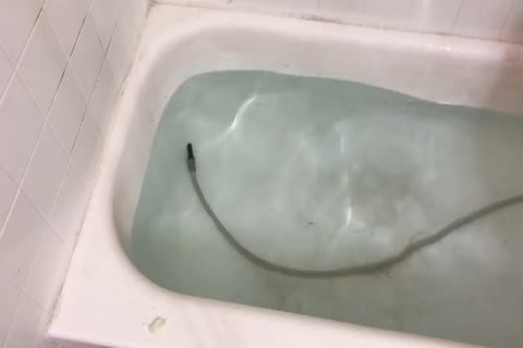 Lizzy Yum Retro - raw clip #1