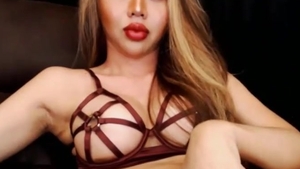 Incredible tranny With lengthy brunette penis