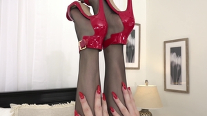 Devil's Tgirls: Trans in Training for the Taking